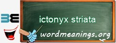 WordMeaning blackboard for ictonyx striata
